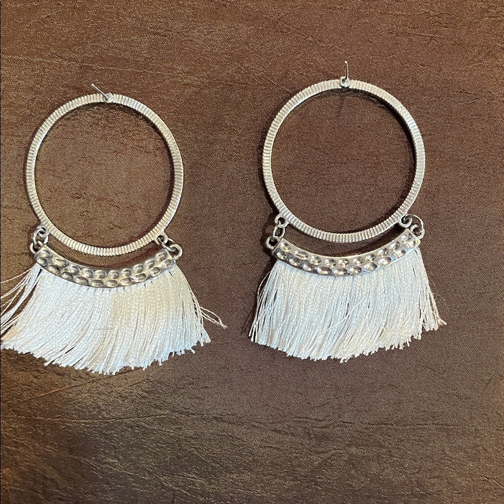 Elegant Silver and White Fringe Earrings
